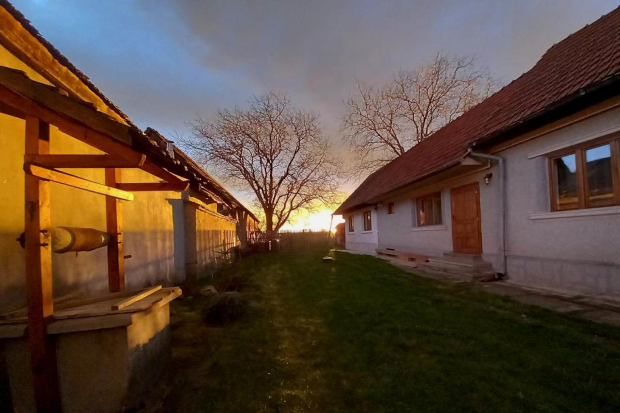 Galeria Turismului Montan Guest House Cîrţişoara Eksteriør bilde