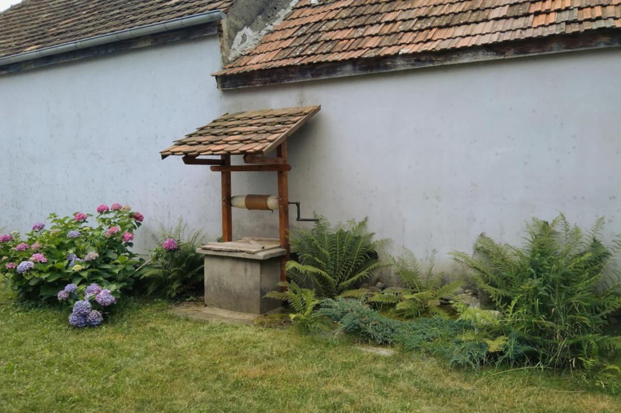 Galeria Turismului Montan Guest House Cîrţişoara Eksteriør bilde