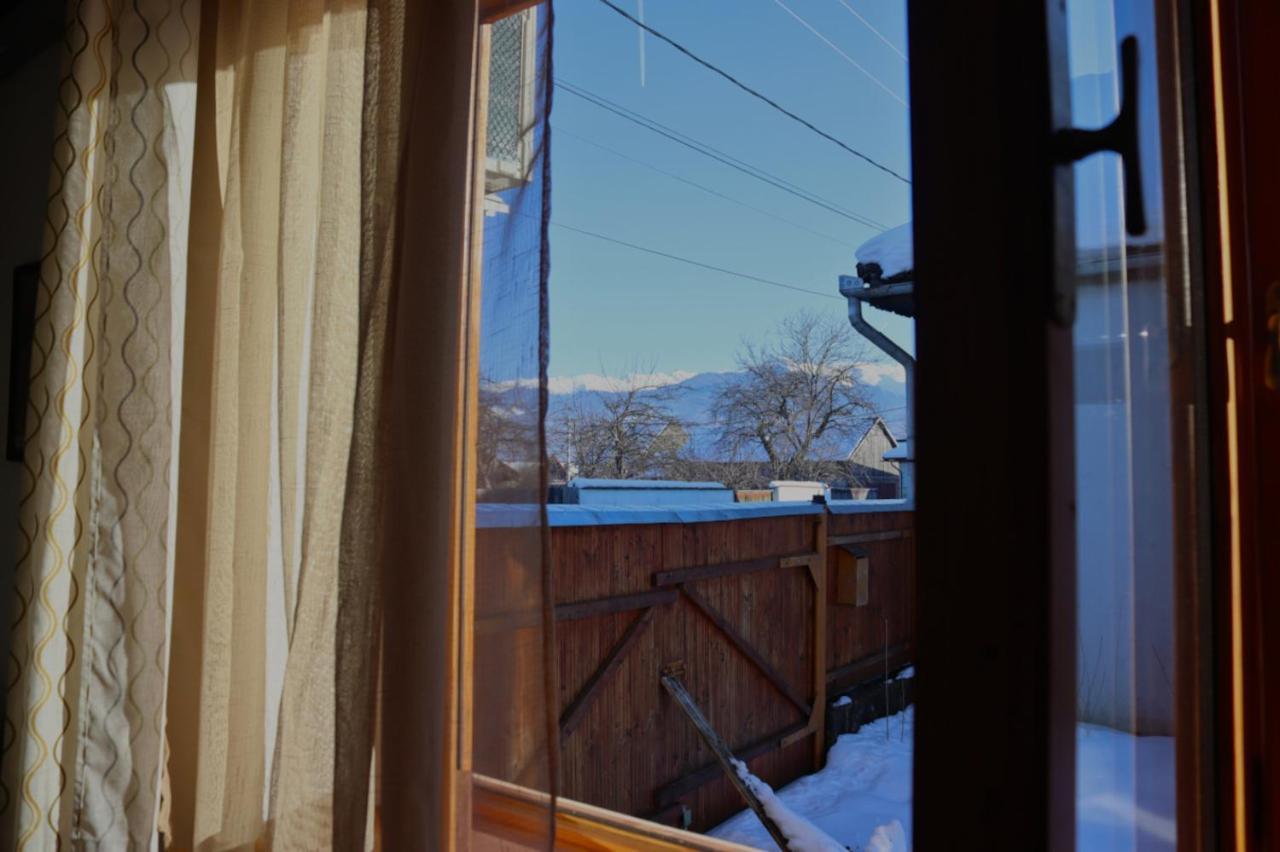 Galeria Turismului Montan Guest House Cîrţişoara Eksteriør bilde