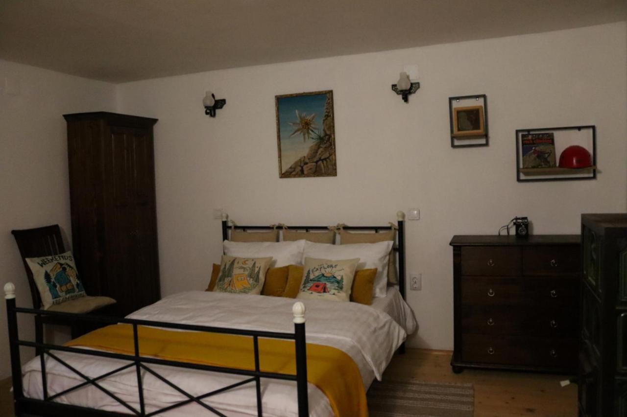 Galeria Turismului Montan Guest House Cîrţişoara Eksteriør bilde