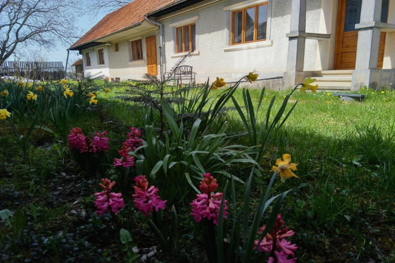 Galeria Turismului Montan Guest House Cîrţişoara Eksteriør bilde