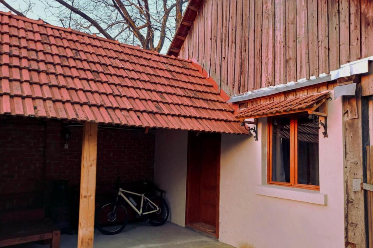 Galeria Turismului Montan Guest House Cîrţişoara Eksteriør bilde